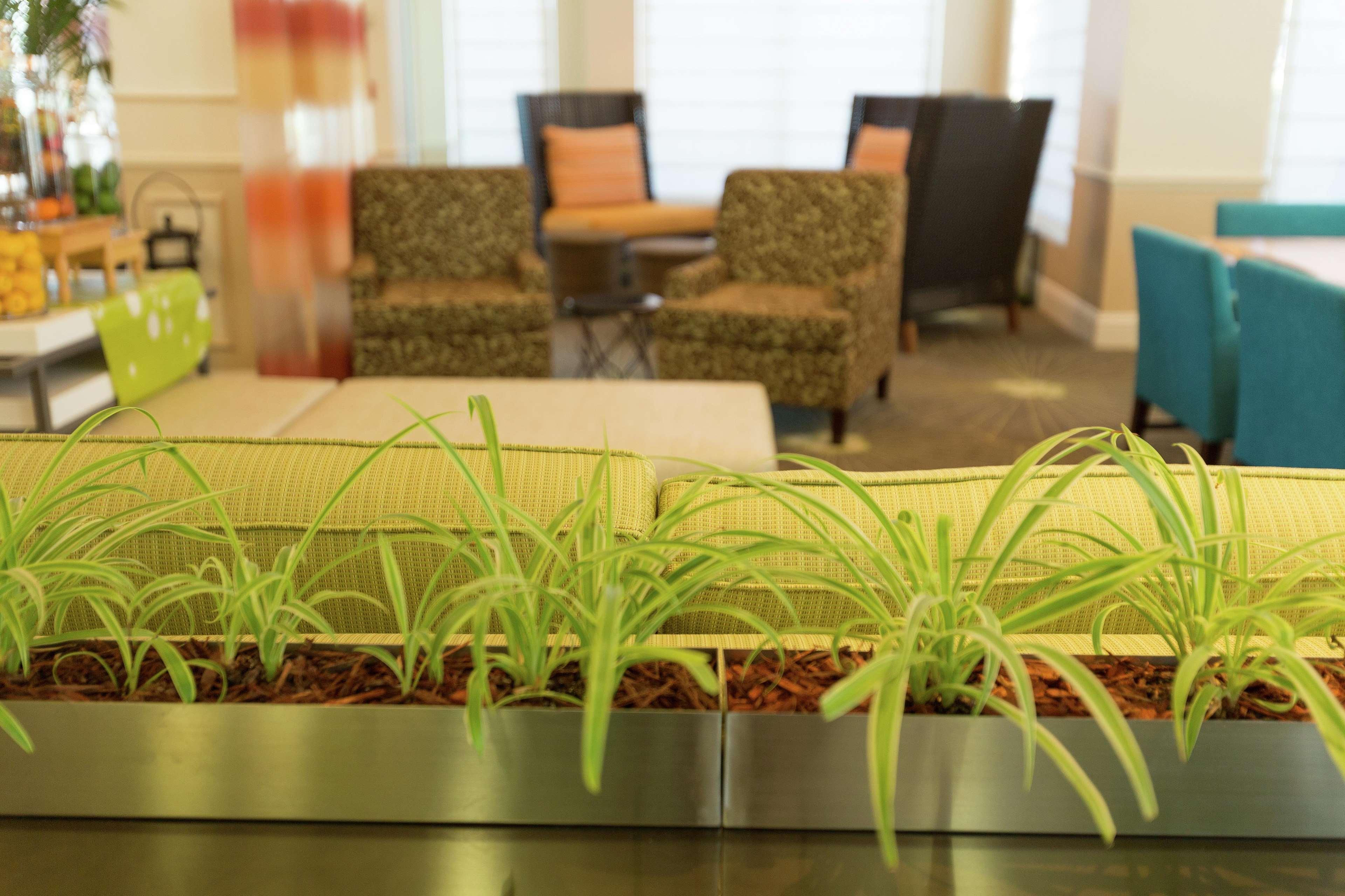 Hilton Garden Inn Saint Augustine Beach St. Augustine Beach Extérieur photo